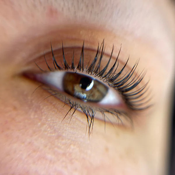 Lifting pestañas (coreano & tradicional)