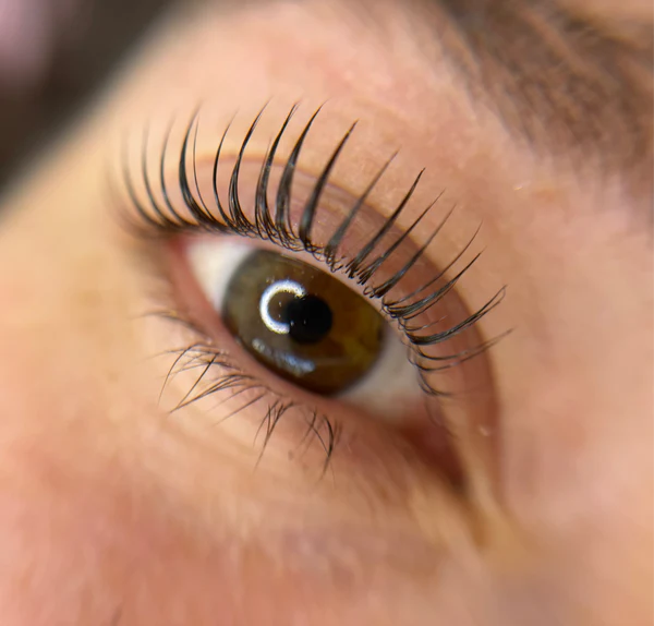 Lifting pestañas (coreano & tradicional)