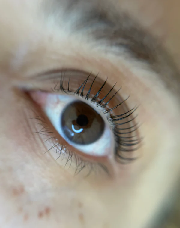 Lifting pestañas (coreano & tradicional)