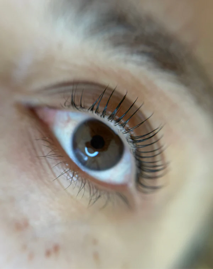 Lifting pestañas (coreano & tradicional)